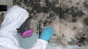 Professional Mold Remediation Services in Daytona Beach Professional Mold Remediation Services in Daytona Beach